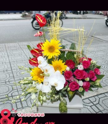 Hoa chúc mừng